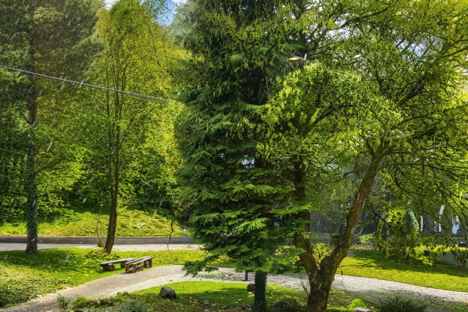 Family Suite / Standard Suit Room - Garten Sommer