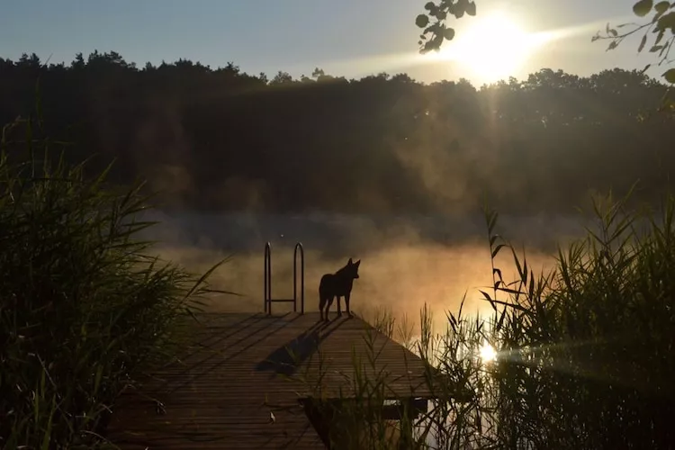 Dom nad jeziorem Klępnica - Wasserblick