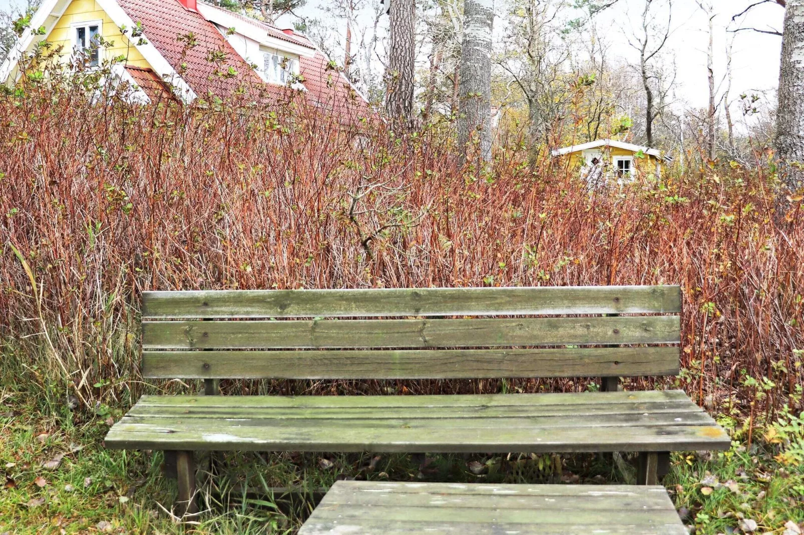 4 star holiday home in LAHOLM-By Traum-Outdoor