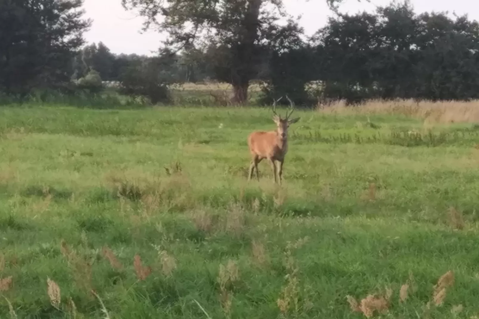 Dom wakacyjny z Klimatem Smołdziński Las - Zones été à 1 km