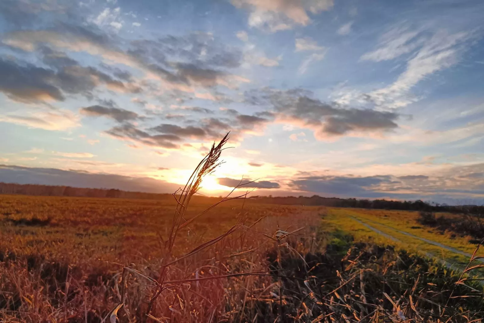 Dom wakacyjny z Klimatem Smołdziński Las - Zones été à 1 km