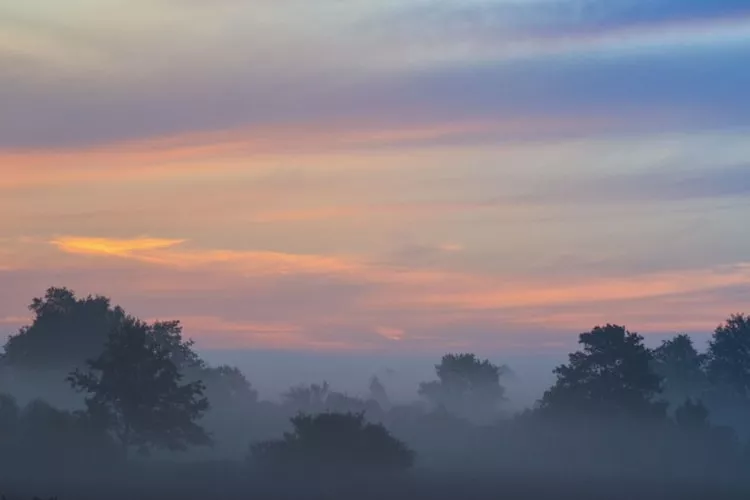 Dom wakacyjny z Klimatem Smołdziński Las - Zones été à 1 km