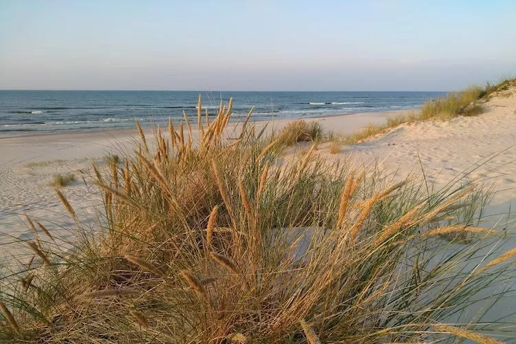 Dom wakacyjny z Klimatem Smołdziński Las - Zones été à 5 km