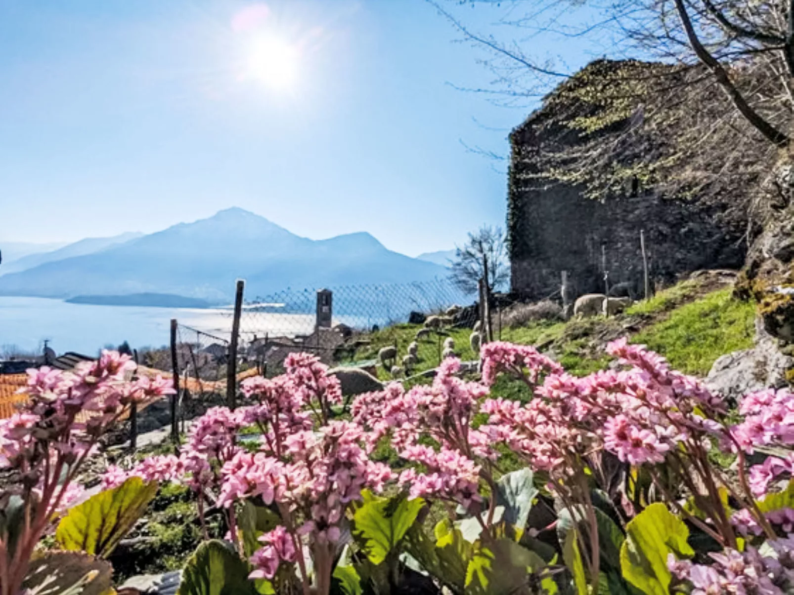 Il Nibbio - Draußen