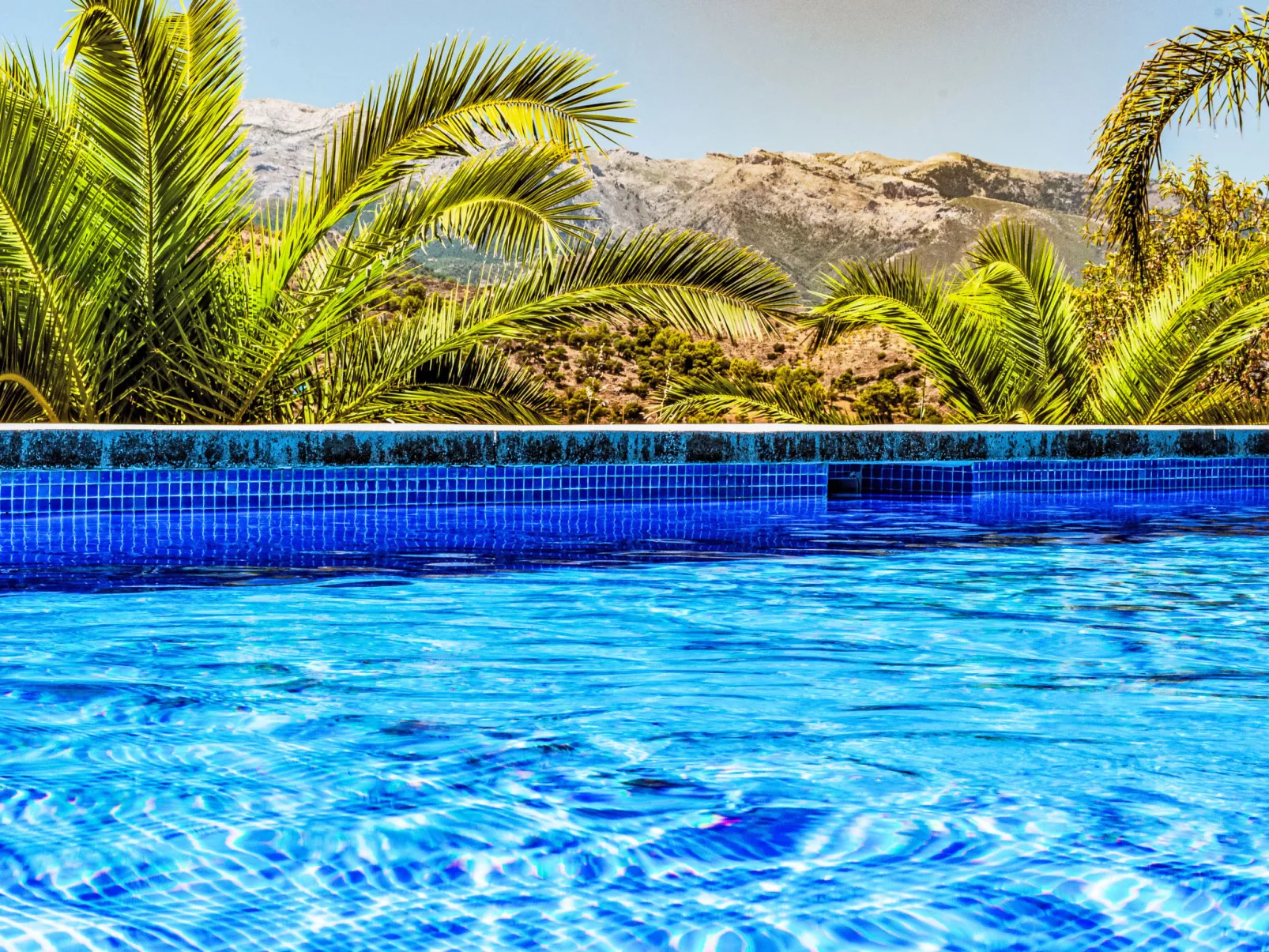 Buho - Nido Aguila Blanca - Dehors