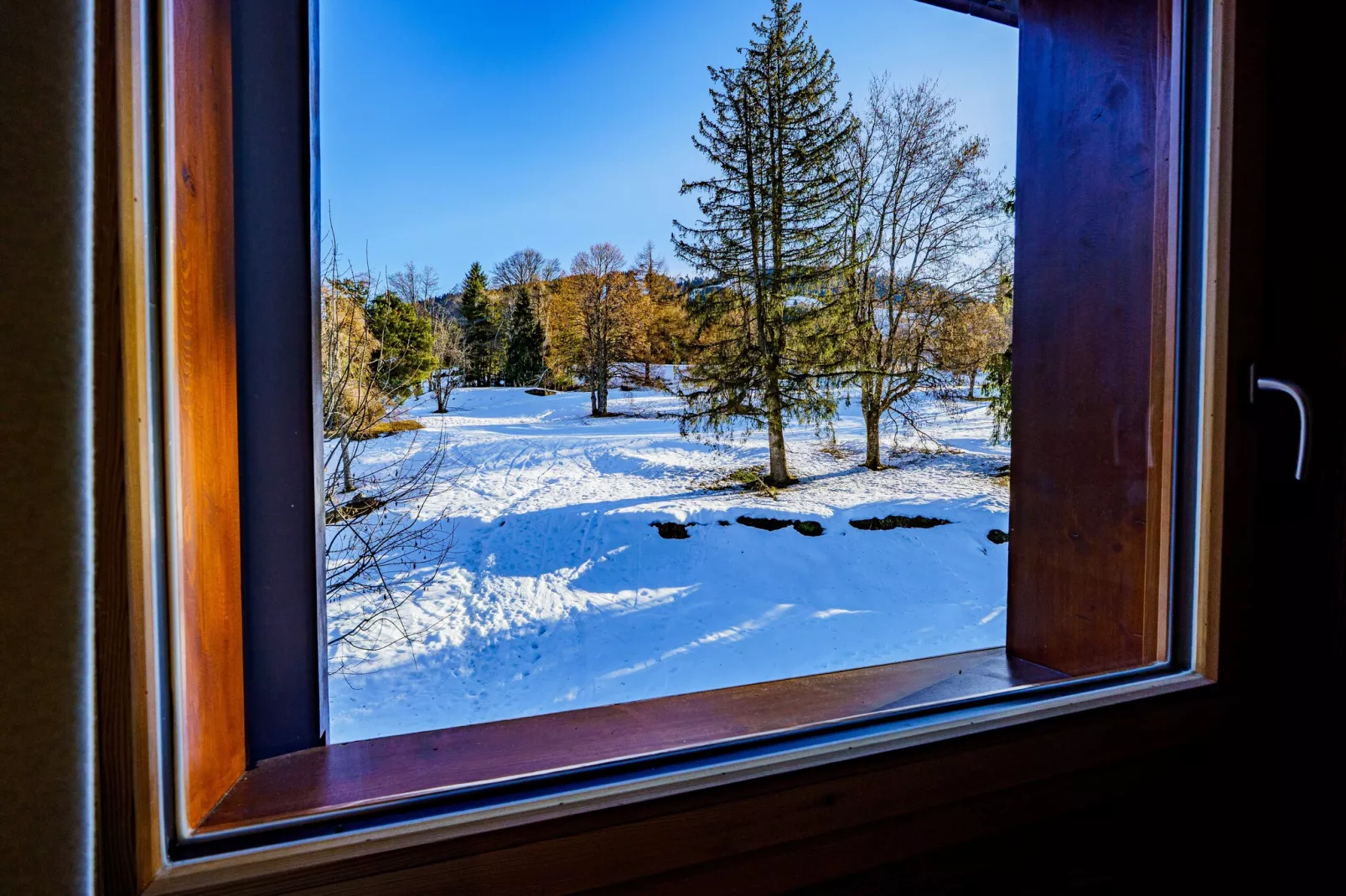 CB-196-VERNAY - Nicht zugeordnet