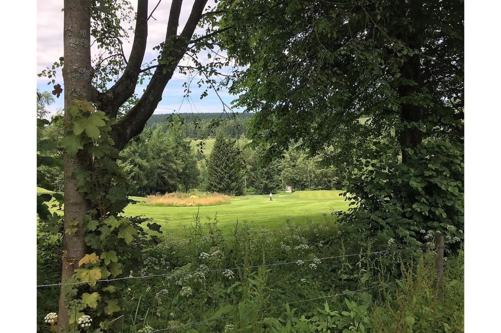 Apartment In der Büre C - Aussicht Sommer