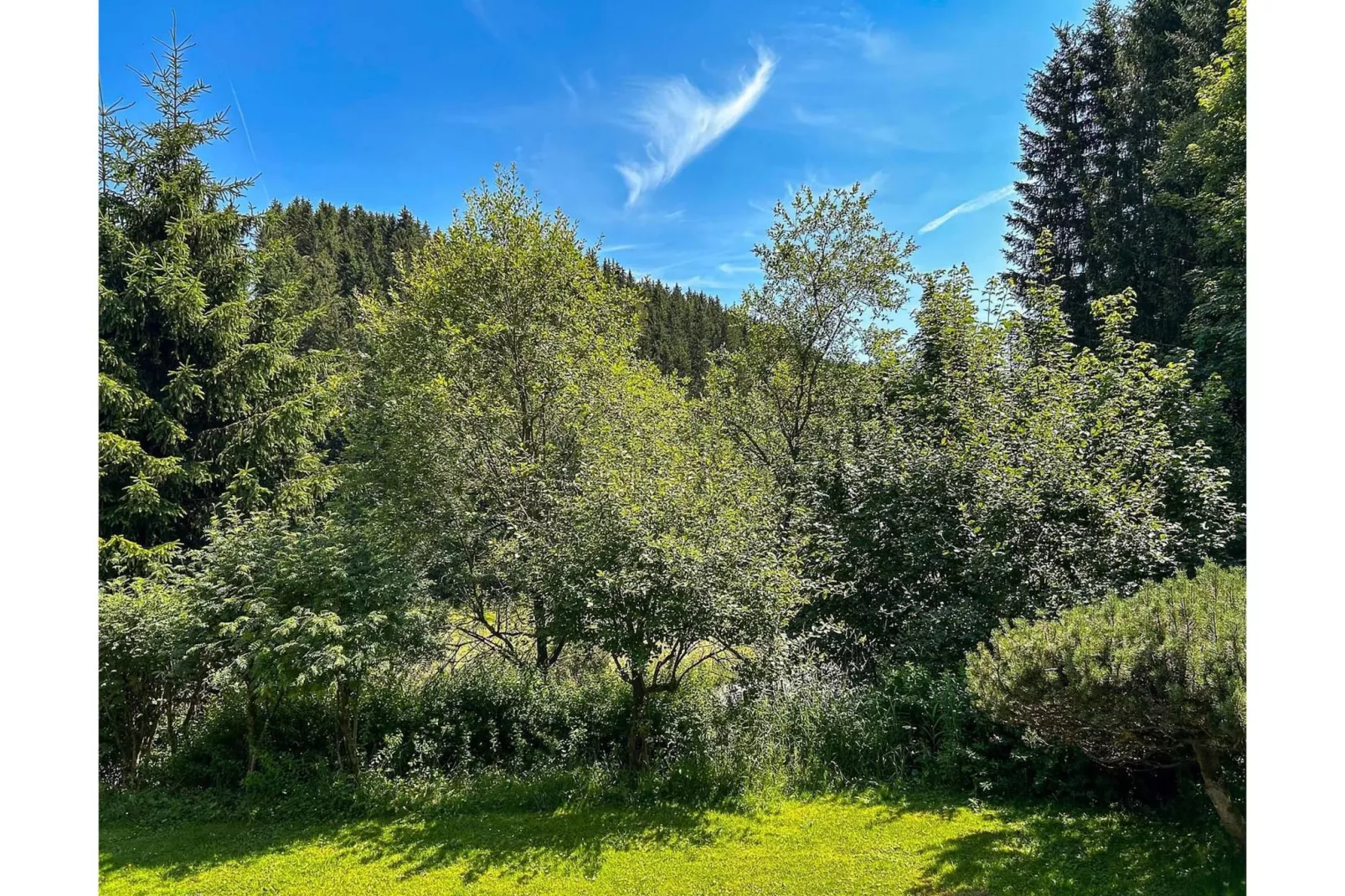 Apartment In der Büre C - Aussicht Sommer