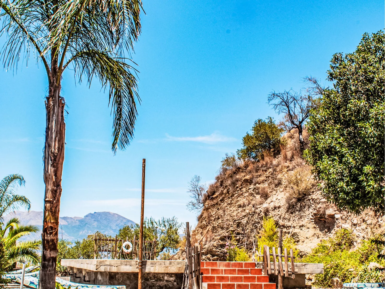 Buho - Nido Aguila Blanca - Dehors