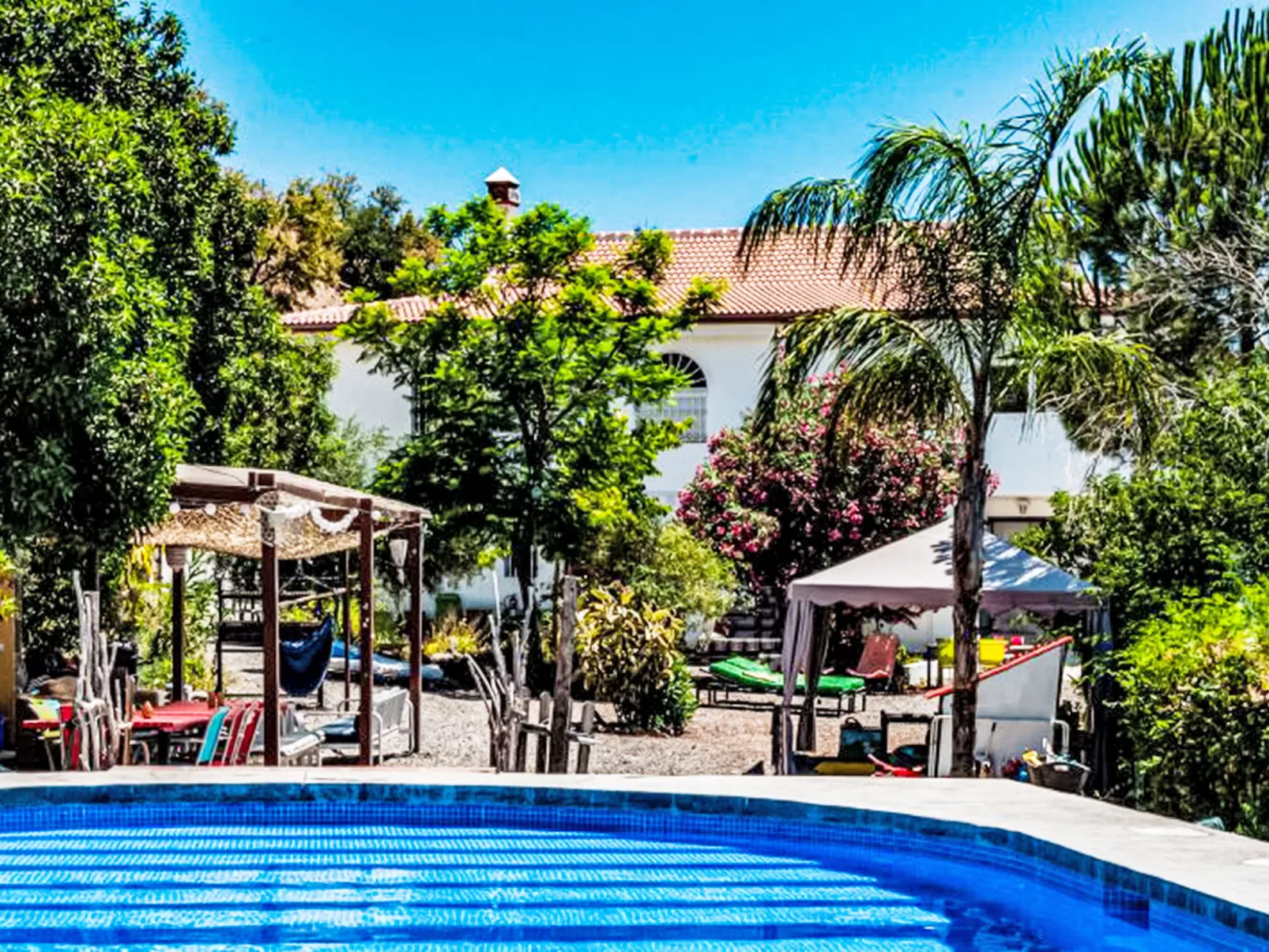 Tortuga - Nido Aguila Blanca - Dehors