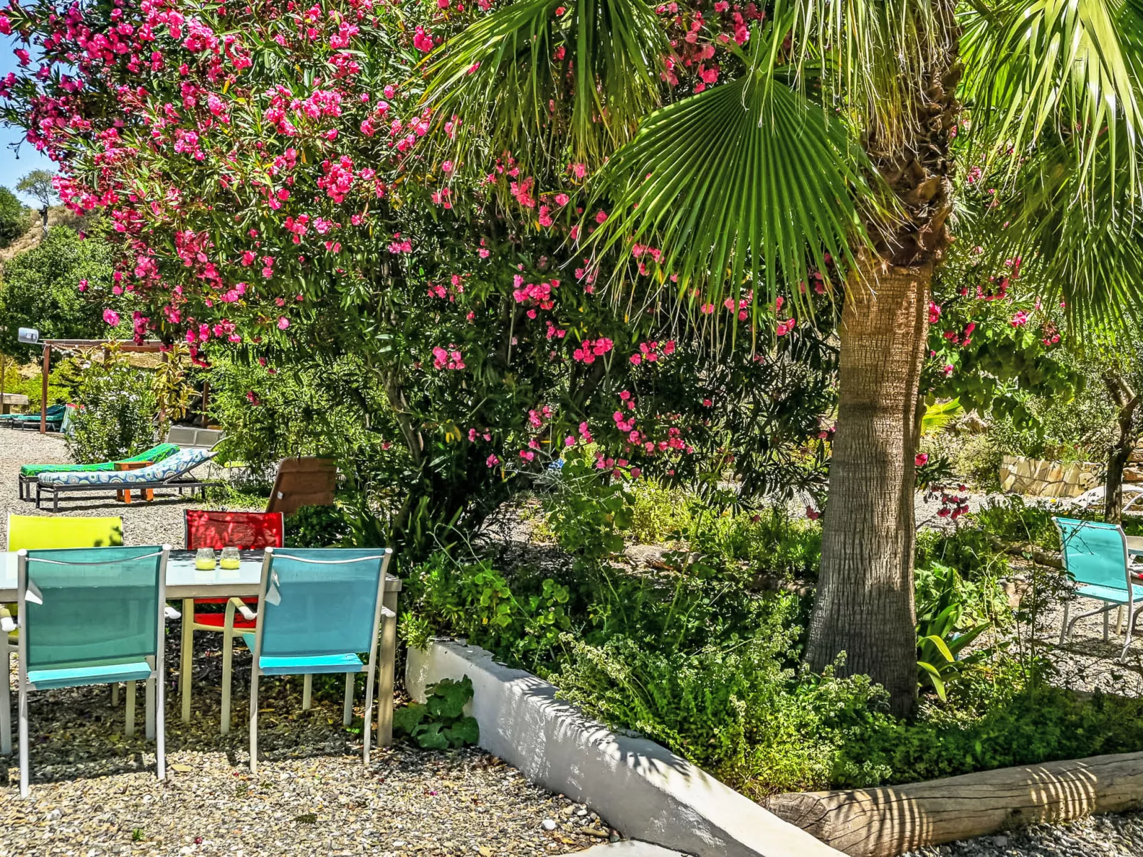 Nido Aguila Blanca - Dehors