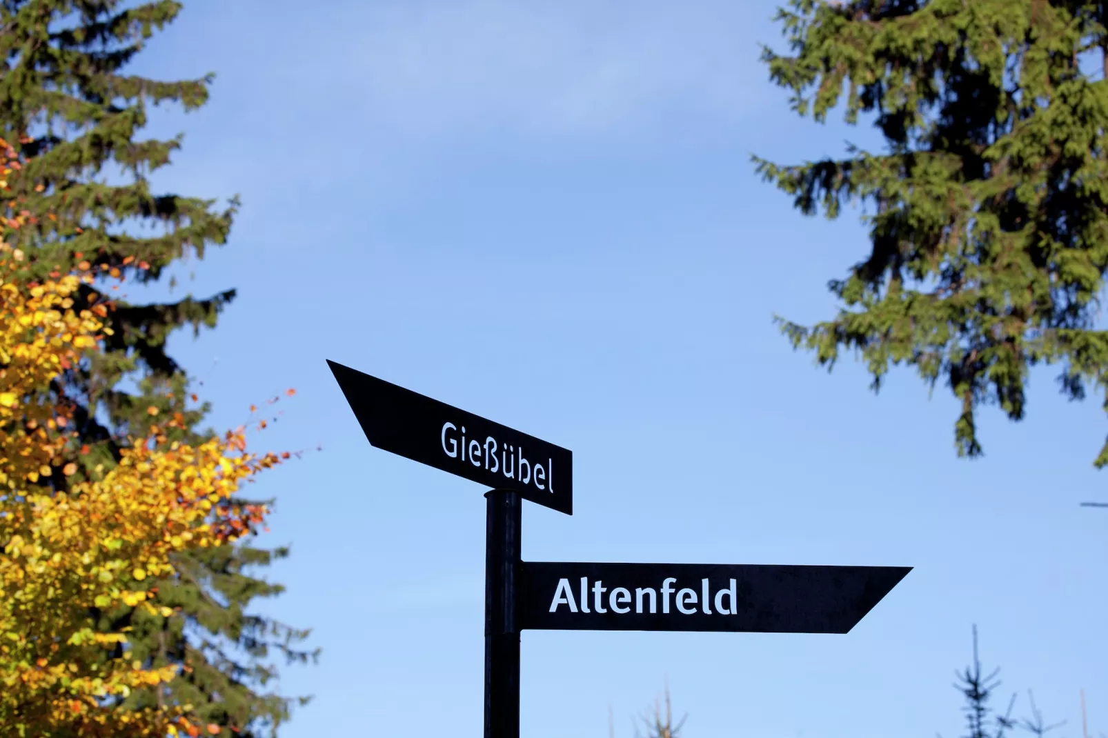 Dorothea - Zones été à 1 km