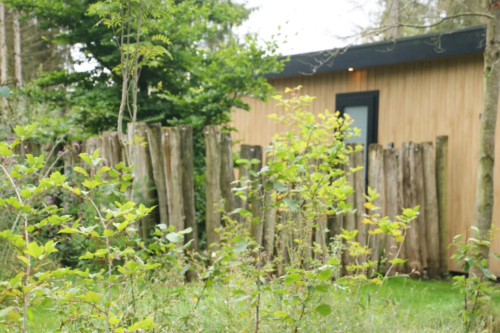 Wellnesslodge Scholekster 4p - Garten Sommer