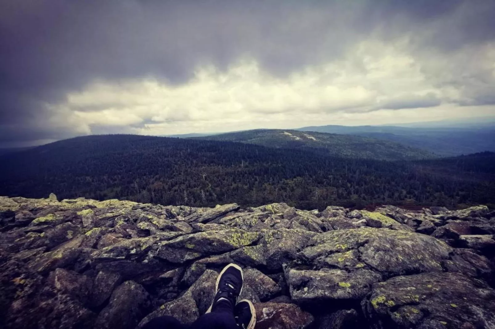 Typ A Standard - Studio Roswitha J39 - Areas within 5km in summer