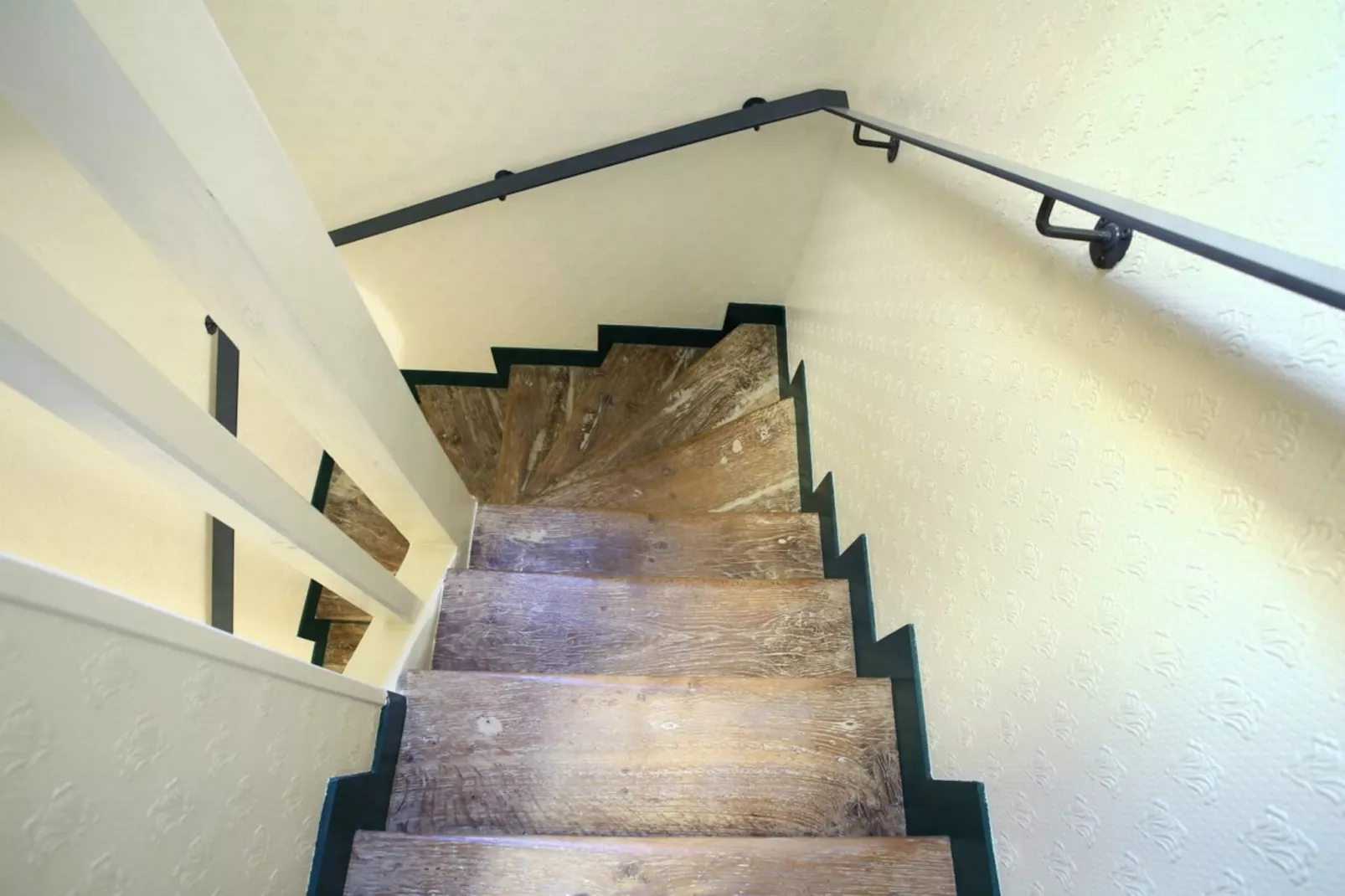 TEMPLE 1 NEW - Non tagué