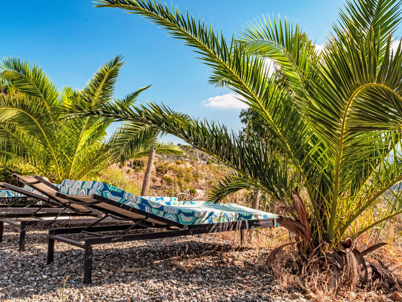 Mariposa - Nido Aguila Blanca - Dehors