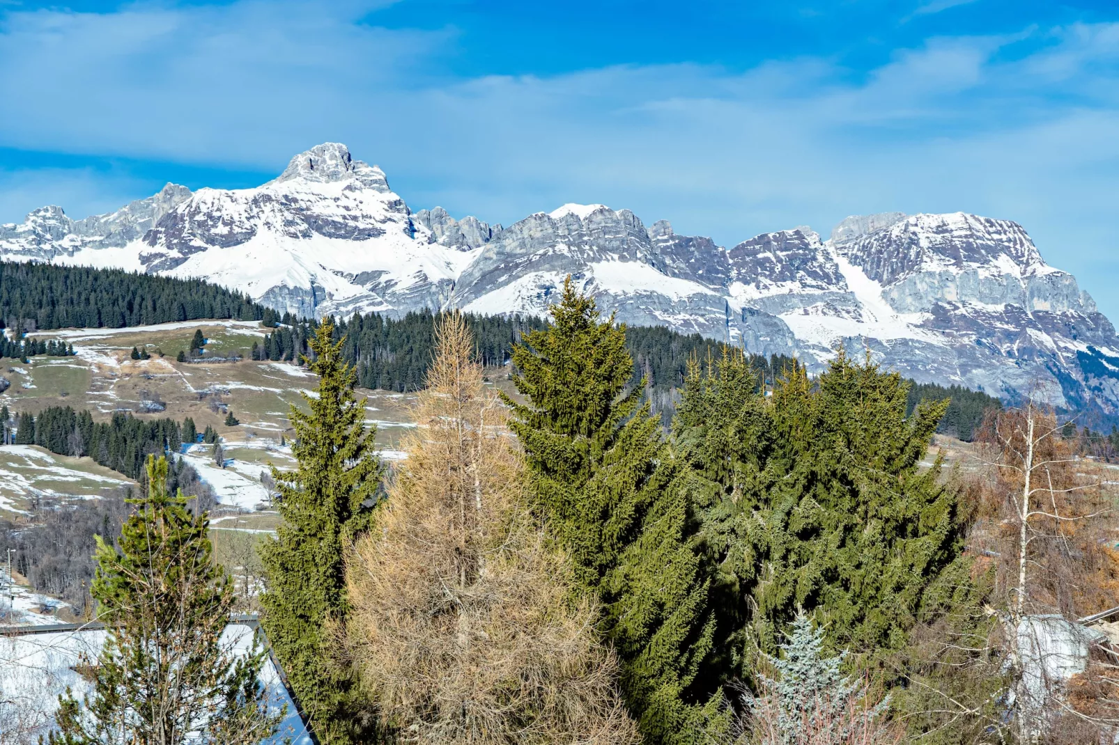 CB-196-VERNAY - Nicht zugeordnet