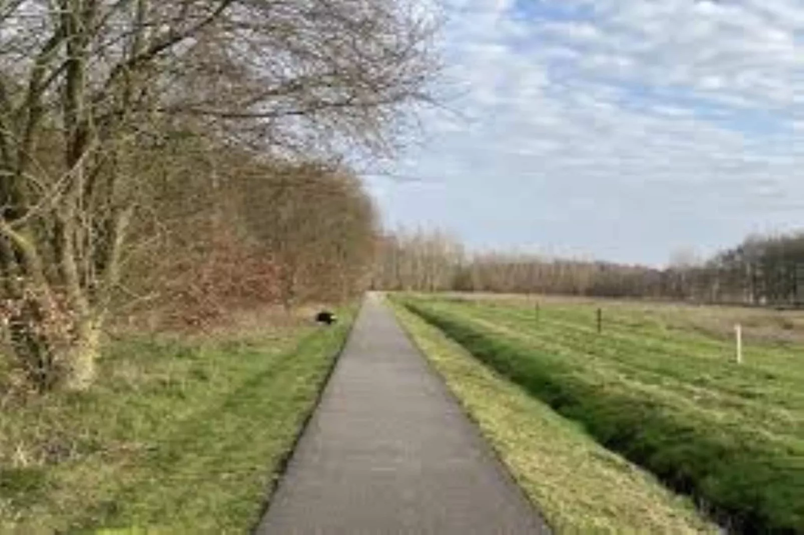 Wellnesslodge Scholekster 4p - Gebiete Sommer 5 km
