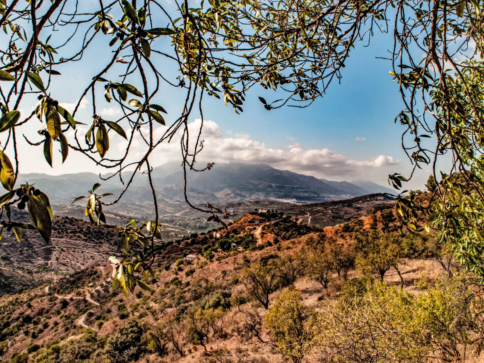 Mariposa - Nido Aguila Blanca - Dehors