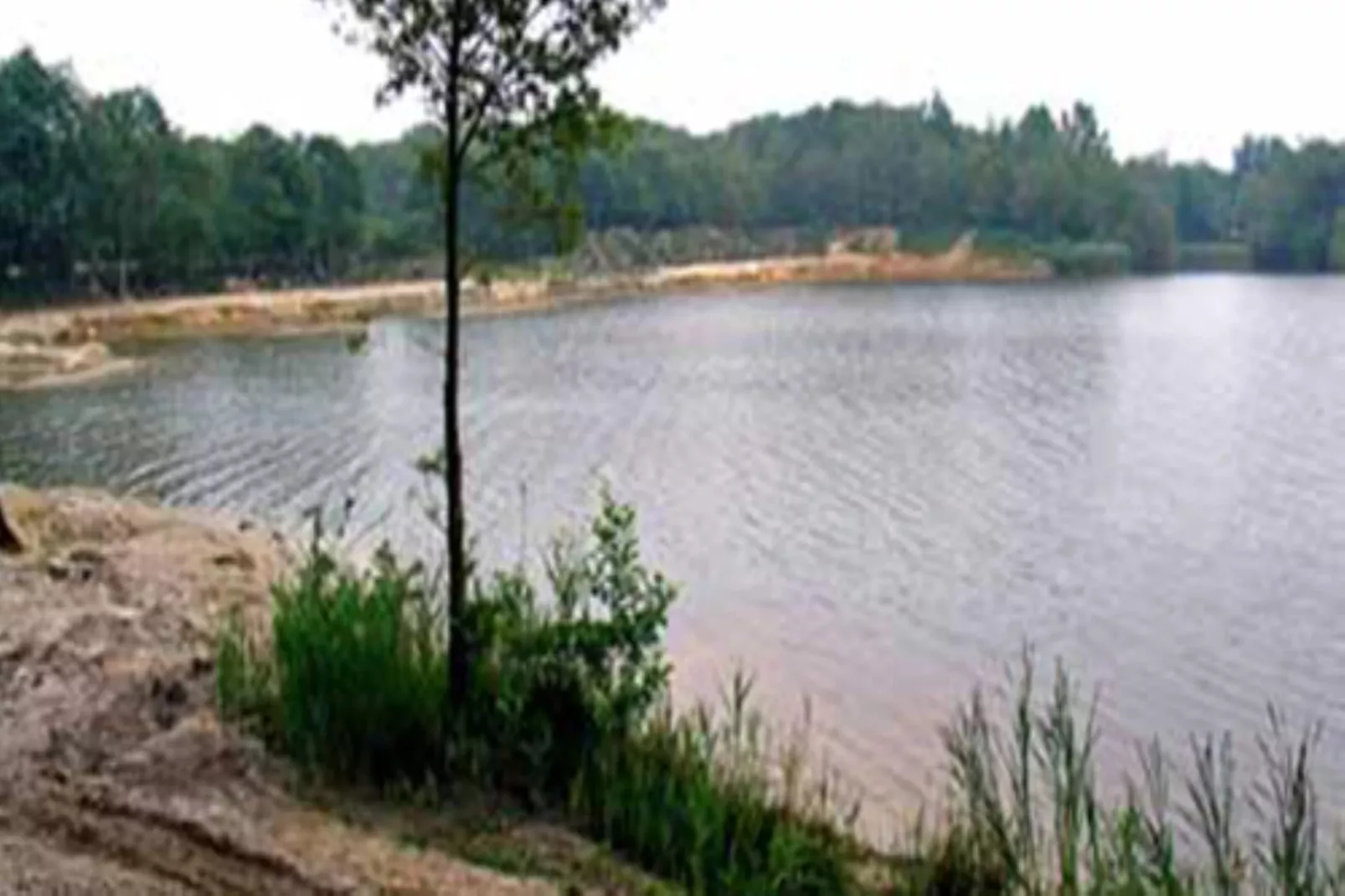 Wellnesslodge Scholekster 4p - Gebiete Sommer 5 km