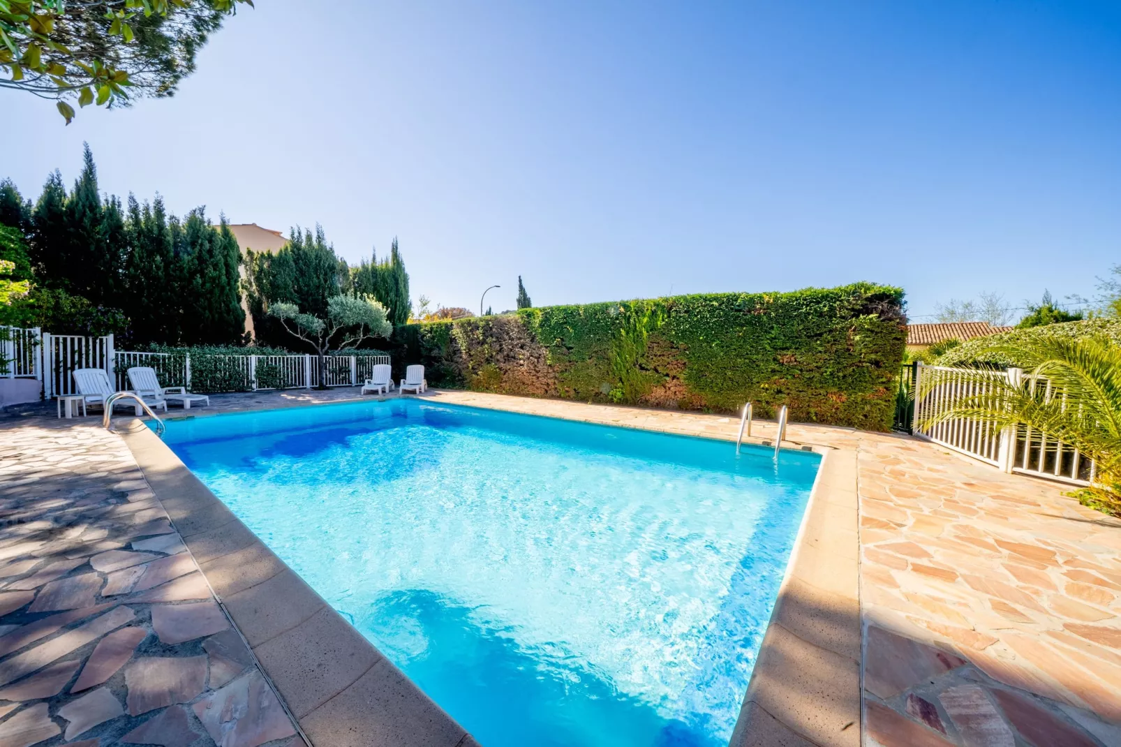 LN-57-FOCH-C3 - Untagged