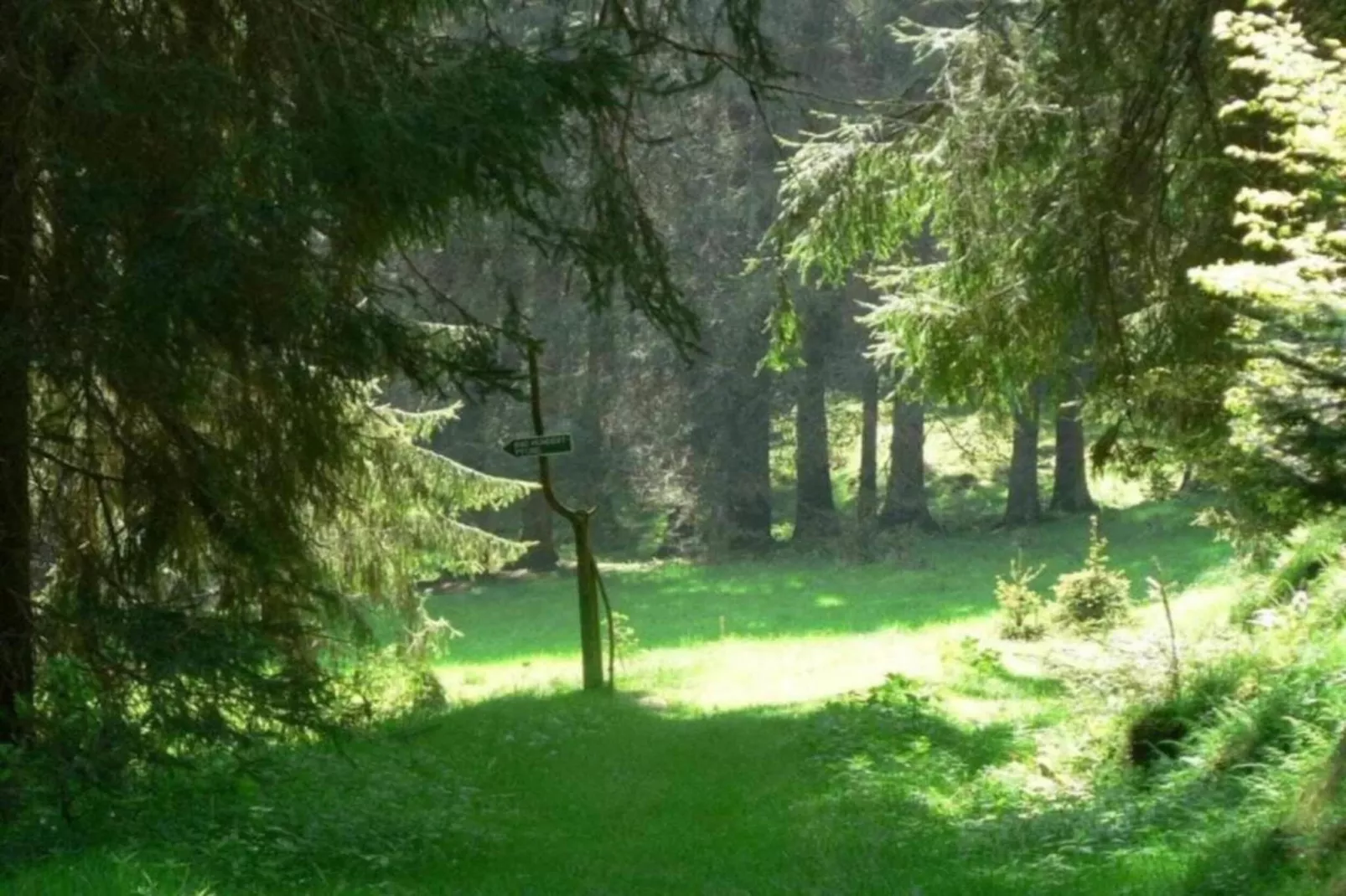 Dorothea - Zones été à 5 km