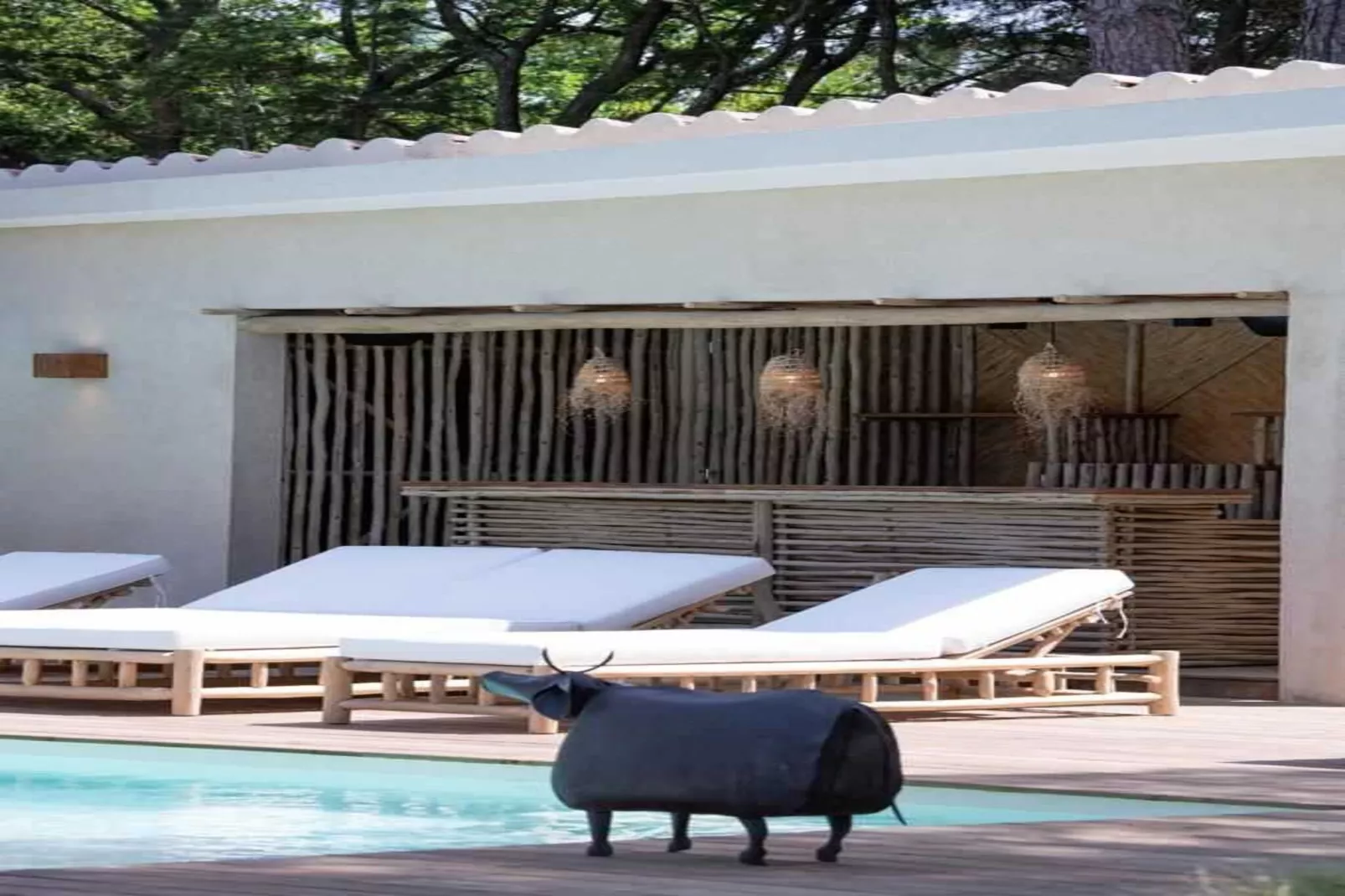 LB-194-RIAN - Non tagué