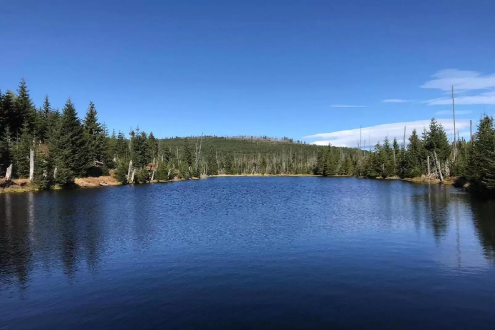 Typ A Standard - Studio Roswitha J39 - Areas within 5km in summer