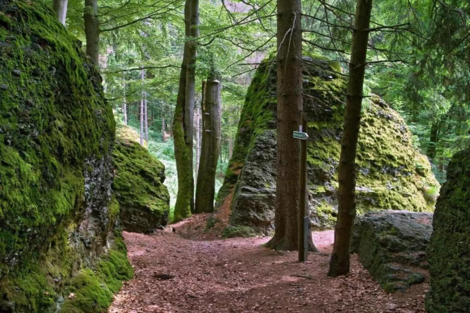 Dorothea - Zones été à 5 km