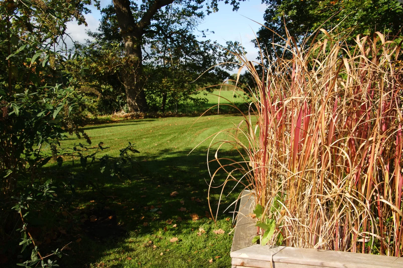 Wellnesslodge Scholekster 4p - Gebiete Sommer 1 km
