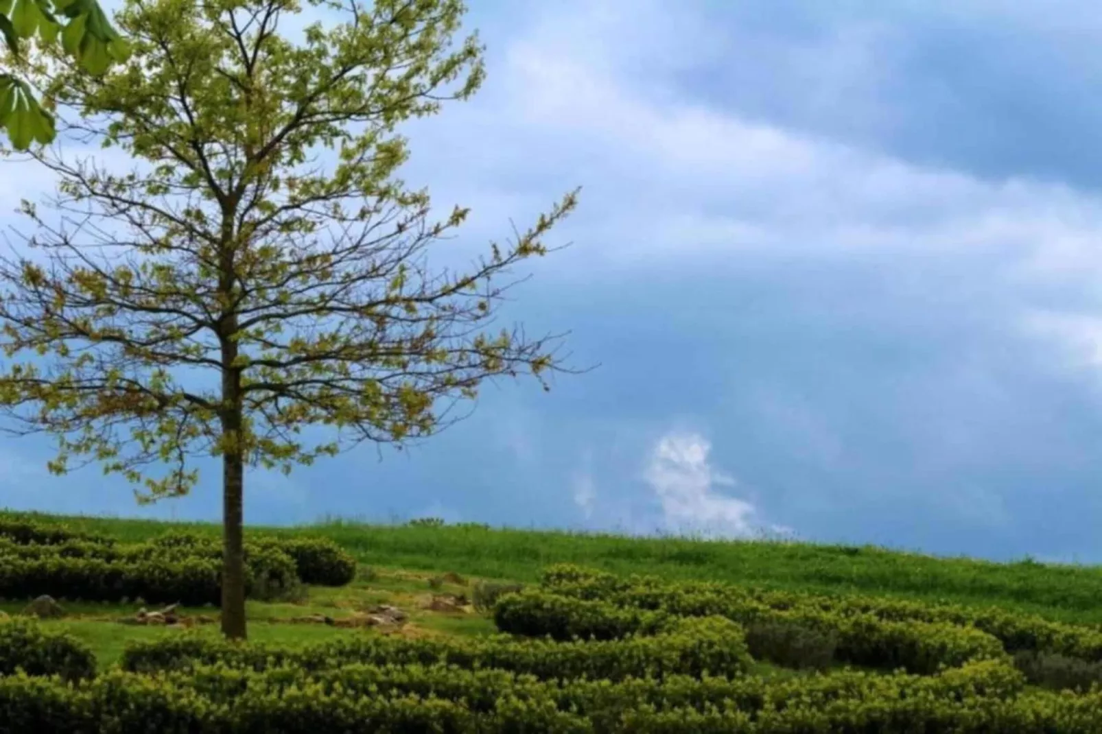 Dorothea - Zones été à 5 km
