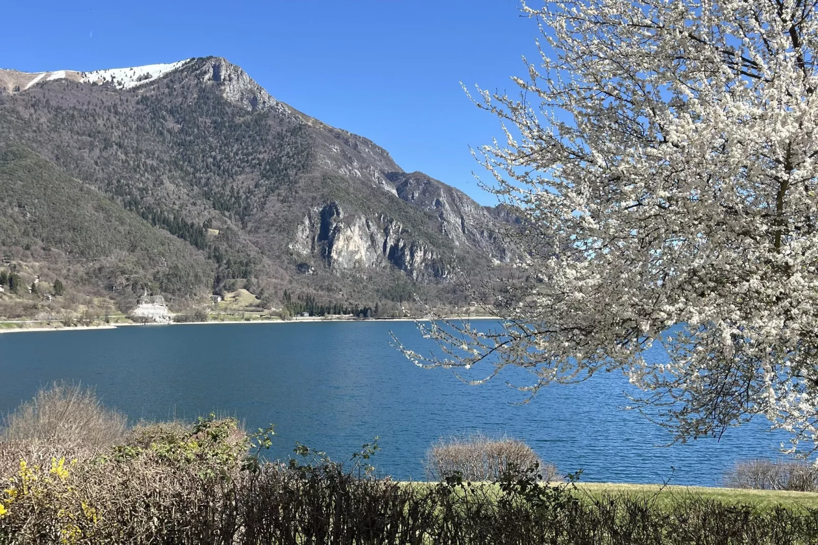 Ca' Serena Trilo Greta - View in summer