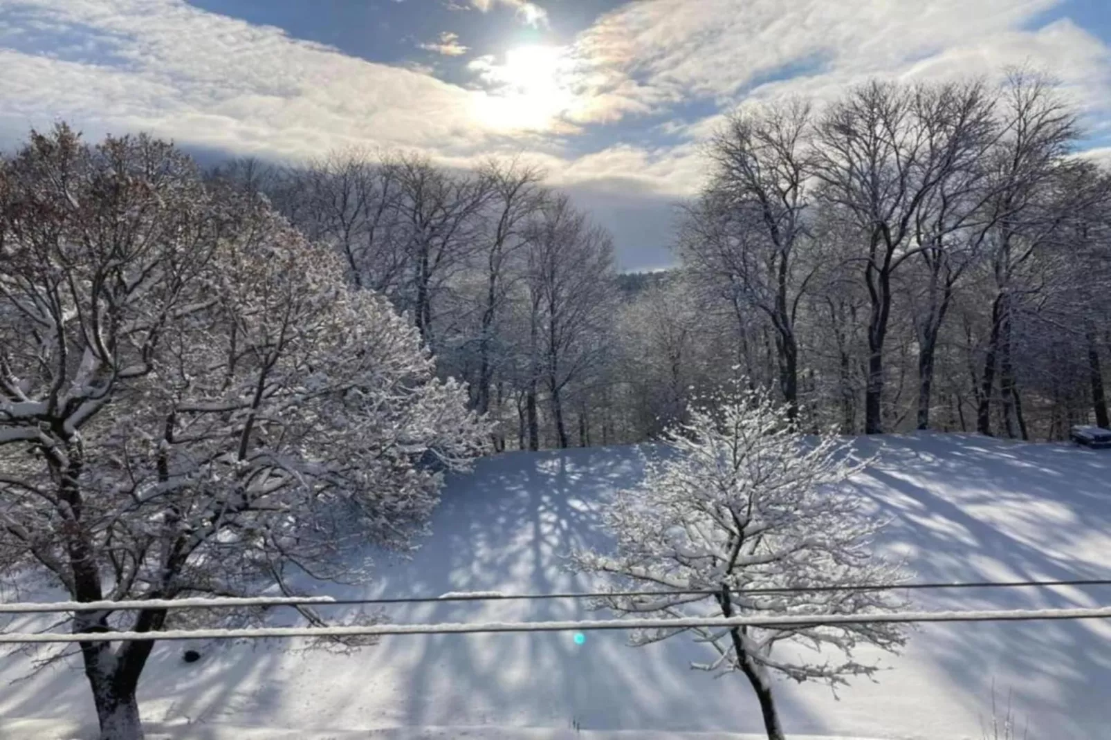 Dorothea - Zones hiver à 5 km