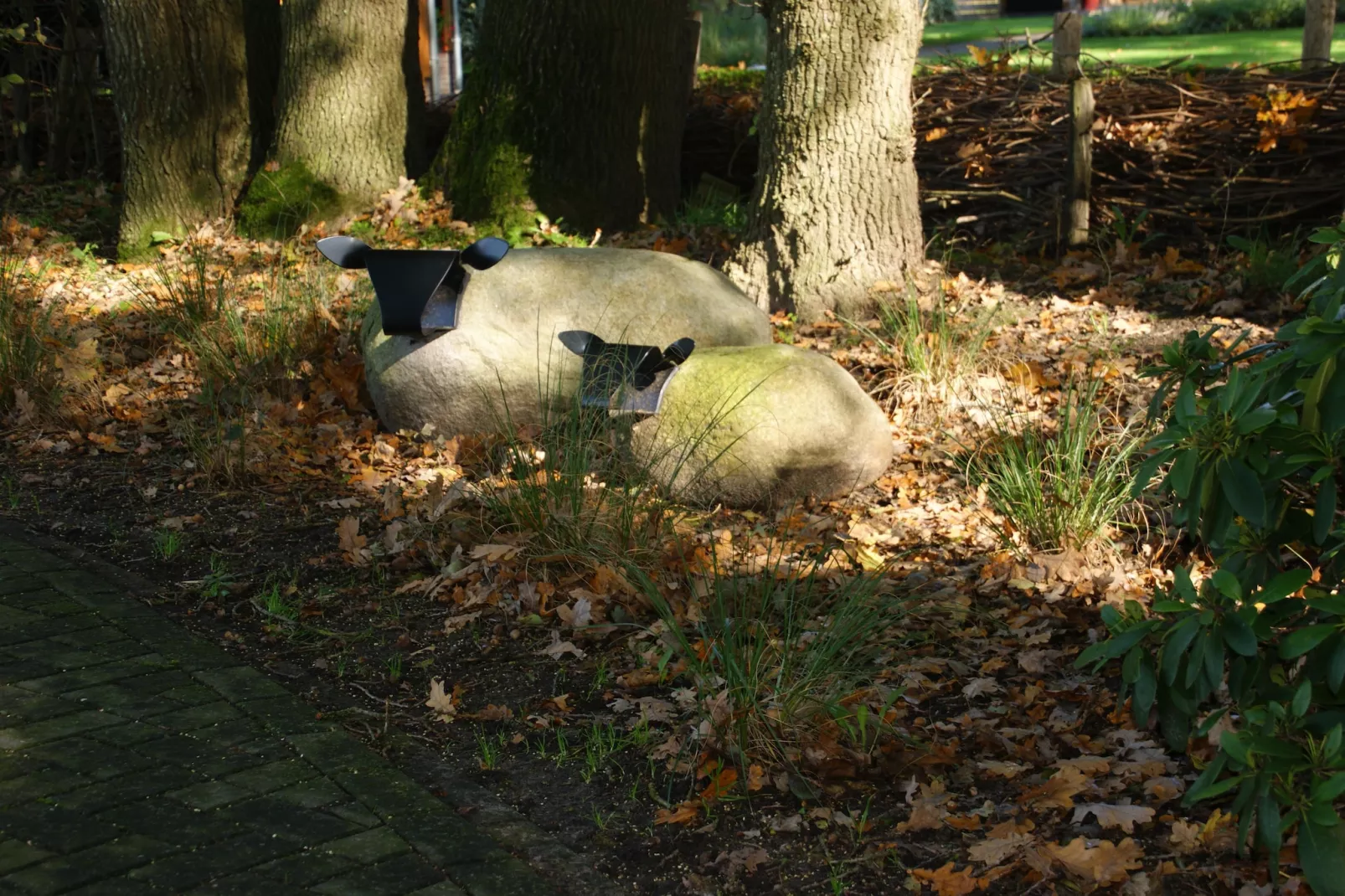 Wellnesslodge Scholekster 4p - Gebiete Sommer 1 km