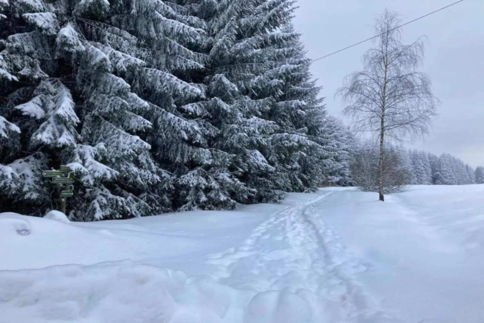 Dorothea - Zones hiver à 5 km