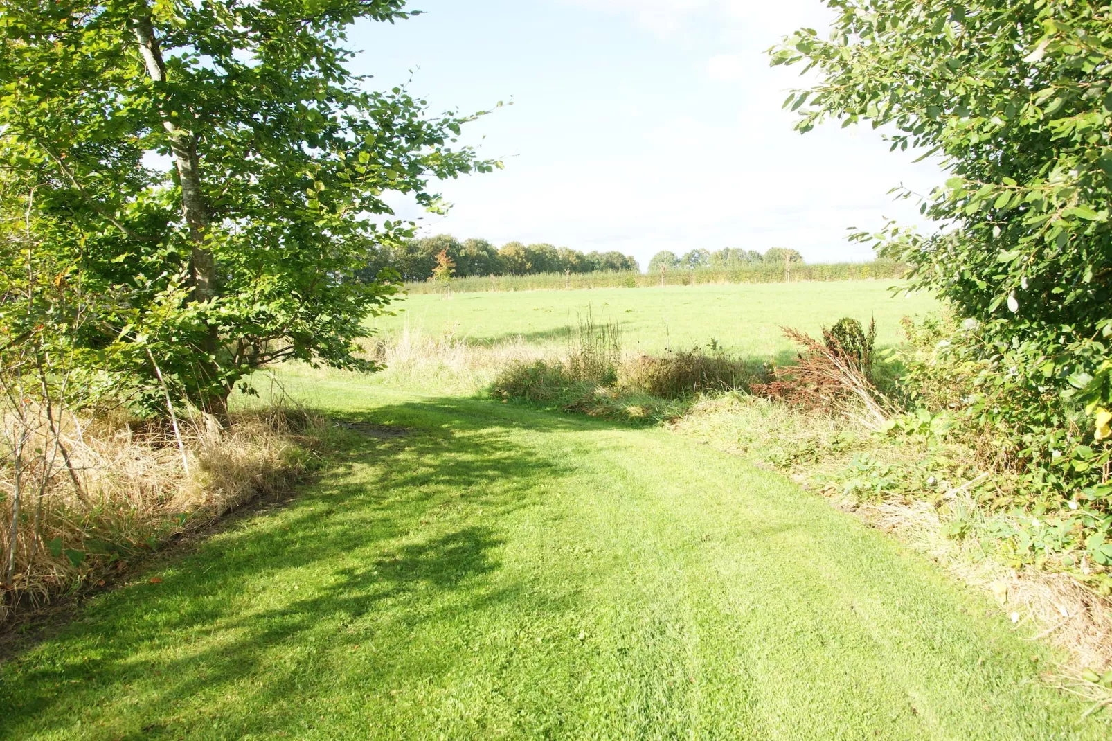 Wellnesslodge Scholekster 4p - Gebiete Sommer 1 km
