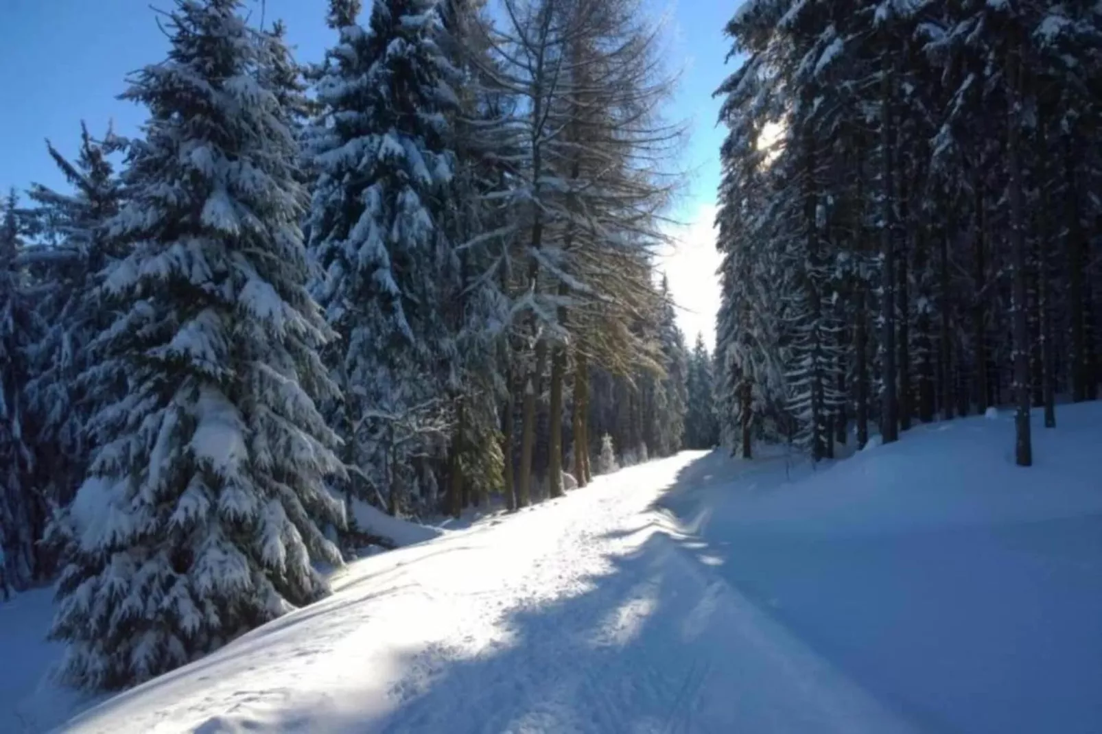 Dorothea - Zones hiver à 5 km
