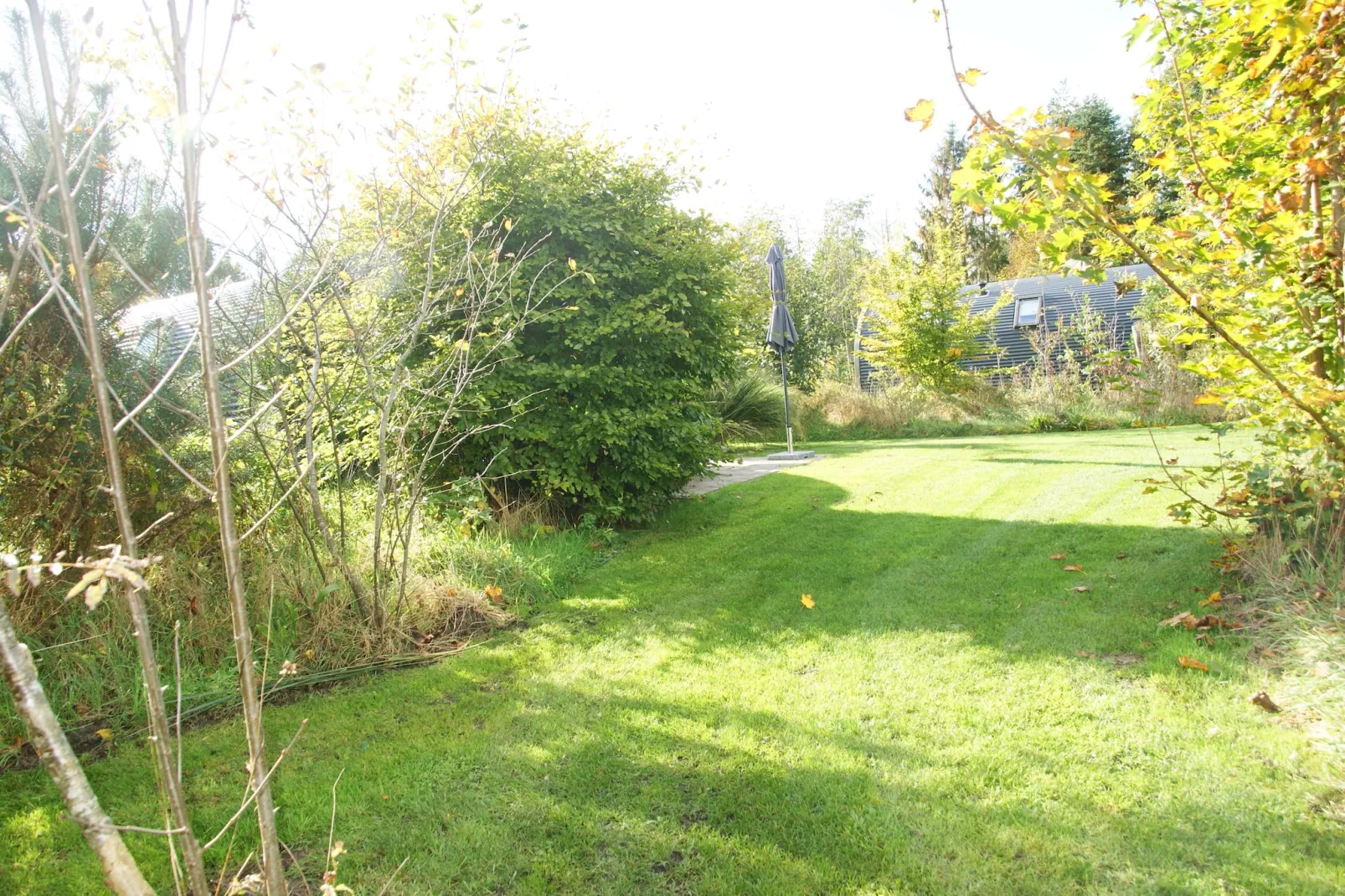 Wellnesslodge Scholekster 4p - Gebiete Sommer 1 km