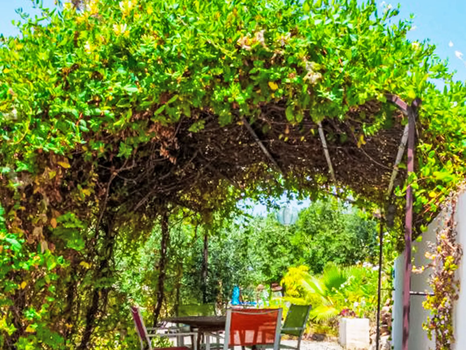 Nido Aguila Blanca - Dehors