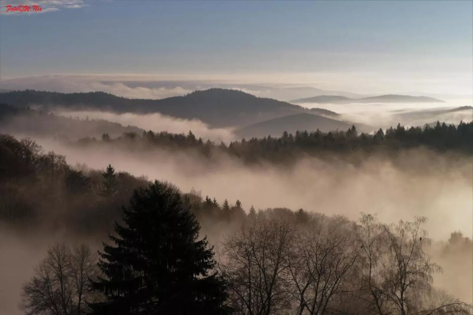 Typ B Komfort - Fewo Roswitha J38 - Areas within 5km in summer