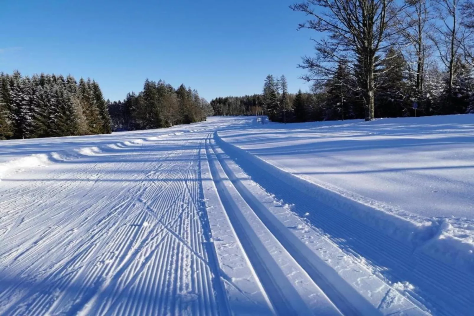 Typ A Basis - Studio Michaela L72 - Area within 5km in winter