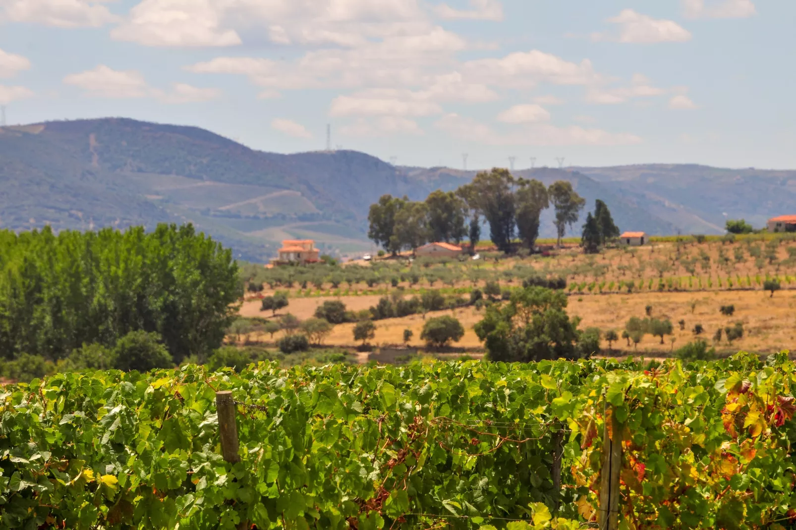 Casa do Curral - Gebiete Sommer 1 km