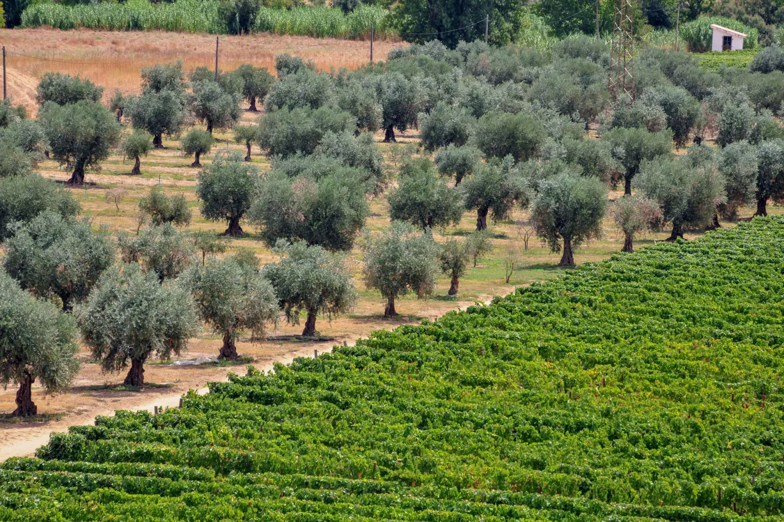 Casa do Curral - Gebiete Sommer 1 km