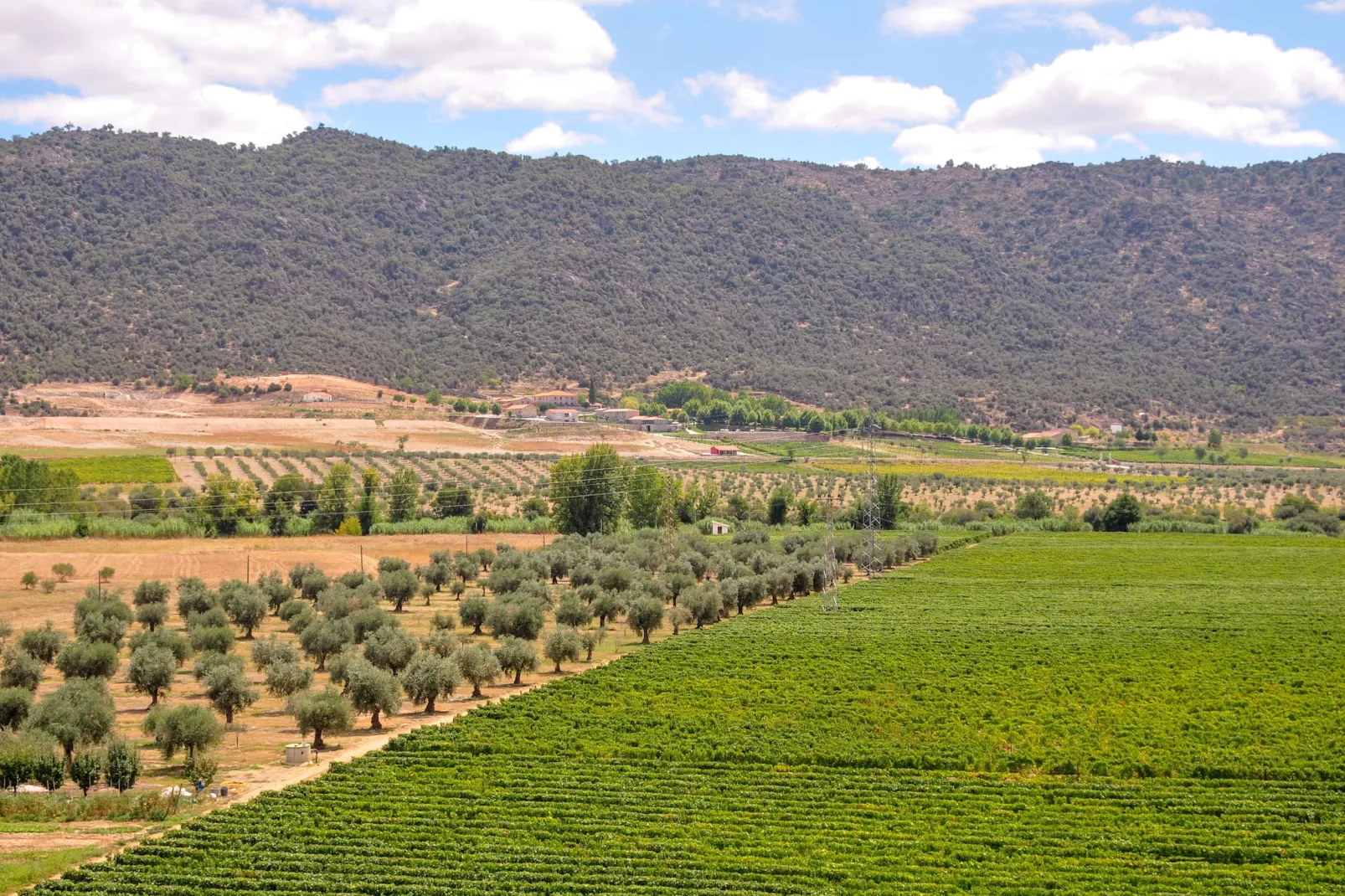 Casa do Curral - Gebiete Sommer 1 km