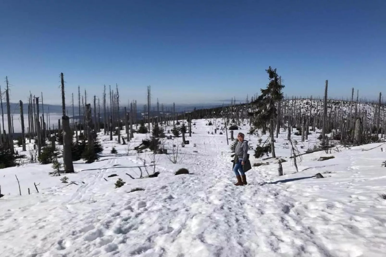 Typ B Komfort - Fewo Roswitha J38 - Area within 5km in winter