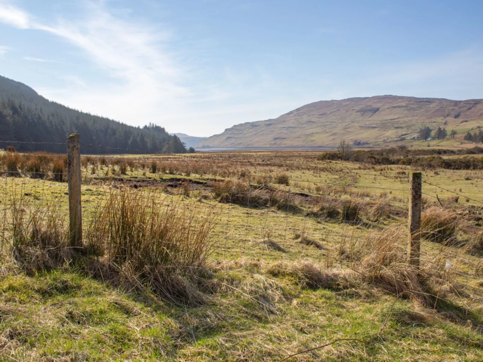 Blue Lobster - Outside