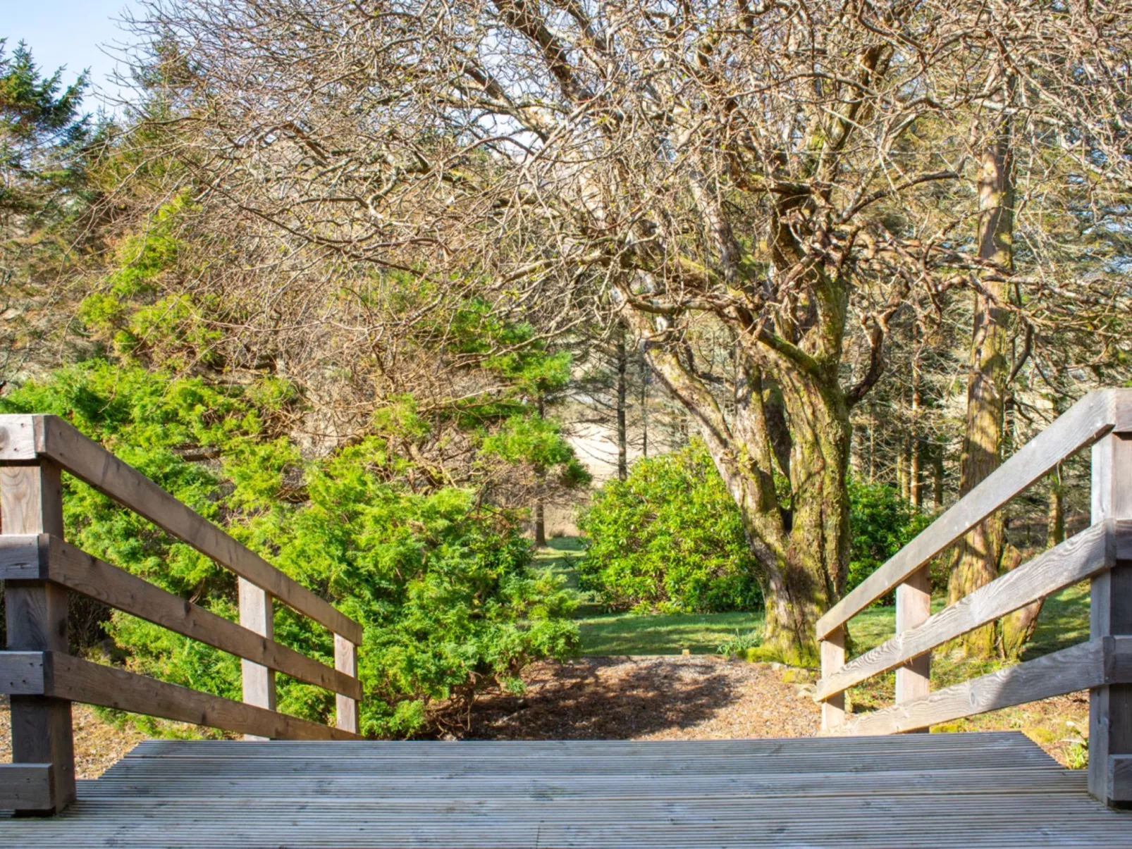 Blue Lobster - Outside