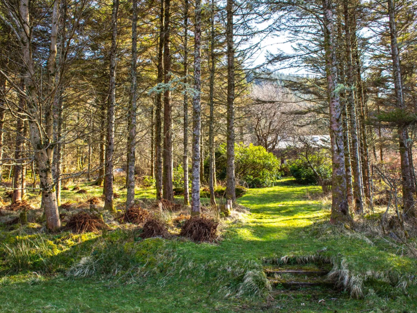 Blue Lobster - Outside