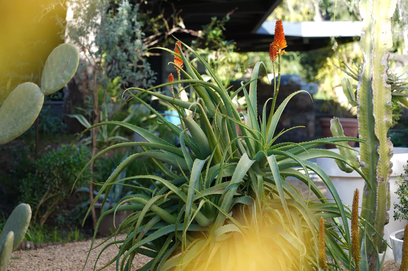 HH-127-GRIMAUD - Nicht zugeordnet