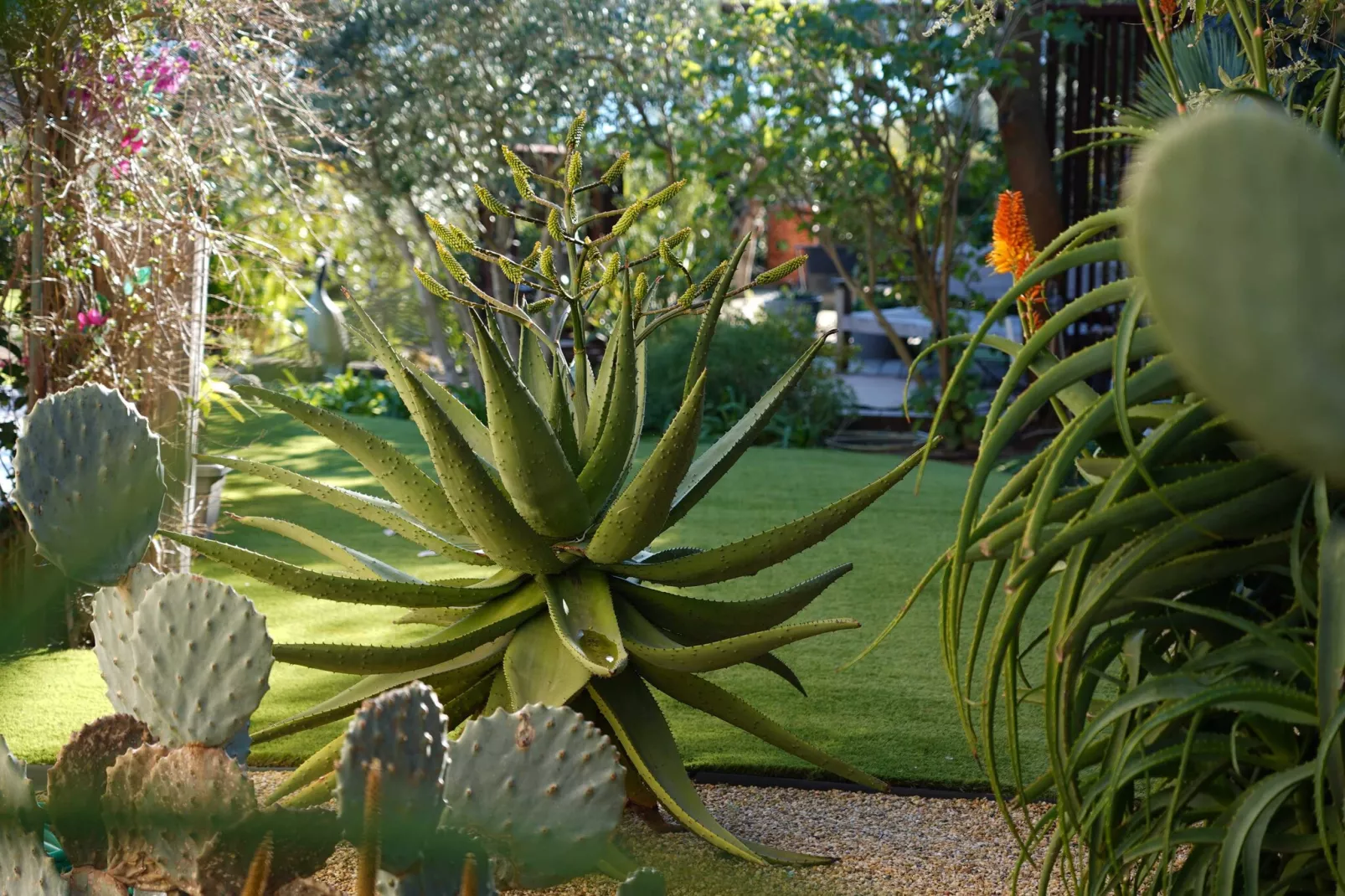 HH-127-GRIMAUD - Nicht zugeordnet